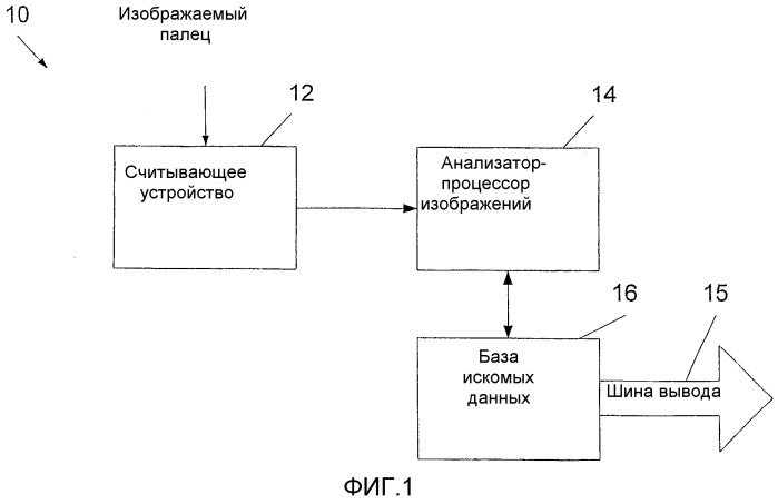 Высоконадежное биометрическое устройство (патент 2343639)