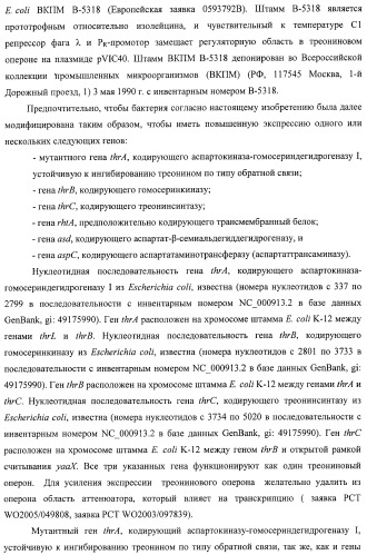Способ получения l-треонина с использованием бактерии, принадлежащей к роду escherichia, в которой инактивирован ген msba (патент 2392313)