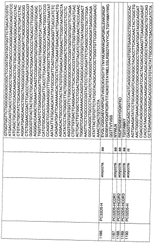 Pscaxcd3, cd19xcd3, c-metxcd3, эндосиалинxcd3, epcamxcd3, igf-1rxcd3 или fap-альфаxcd3 биспецифическое одноцепочечное антитело с межвидовой специфичностью (патент 2547600)