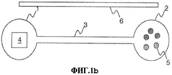 Система и способ обнаружения с помощью магнитной и/или электрической метки (патент 2456618)