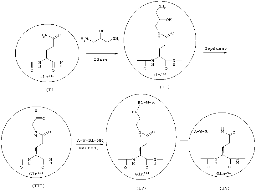 Гормоны роста с пролонгированной эффективностью in vivo (патент 2605627)