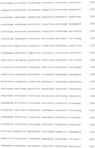 Новые гидрогеназы, выделенные из thermococcus spp., гены, кодирующие эти гидрогеназы, и способы продуцирования водорода с использованием микроорганизмов, содержащих указанные гены (патент 2499831)