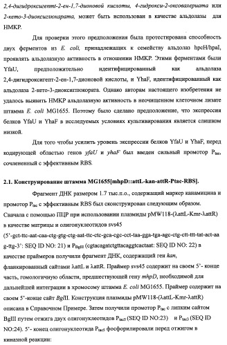 Способ производства 4-гидрокси-l-изолейцина или его соли (патент 2355767)