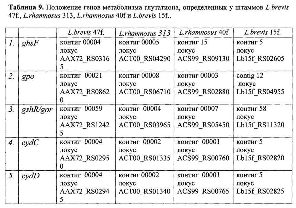 Штаммы lactobacillus brevis и lactobacillus rhamnosus с установленной последовательностью генома, синтезирующие глутатион и комплекс внутриклеточных антиоксидантов (патент 2617946)
