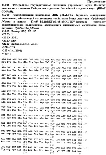 Рекомбинантная плазмидная днк pmaltev-legumain, кодирующая полипептид, обладающий антигенными свойствами белка легумаин opisthorchis felineus, и штамм e.coli bl 21(de3)plyss-pmaltev-legumain - продуцент рекомбинантного полипептида, обладающего антигенными свойствами белка легумаин opisthorchis felineus (патент 2496876)