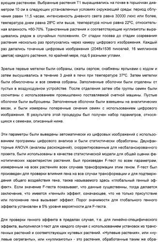 Способ повышения выхода семян растения, способ производства трансгенного растения, имеющего повышенную урожайность семян, генная конструкция для экспрессии в растении и трансгенное растение (патент 2409938)