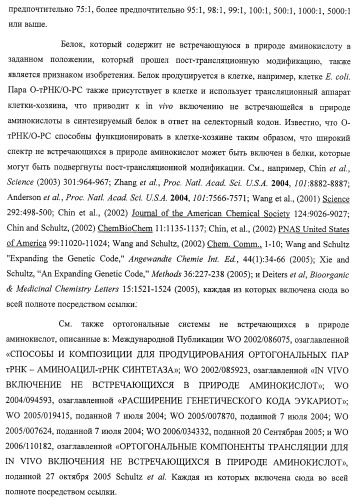 Система экспрессии компонентов ортогональной трансляции в эубактериальной клетке-хозяине (патент 2467069)