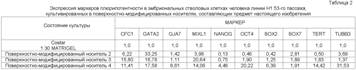 Способы, поверхностно-модифицированные носители и композиции для иммобилизации, культивирования и открепления клеток (патент 2551772)