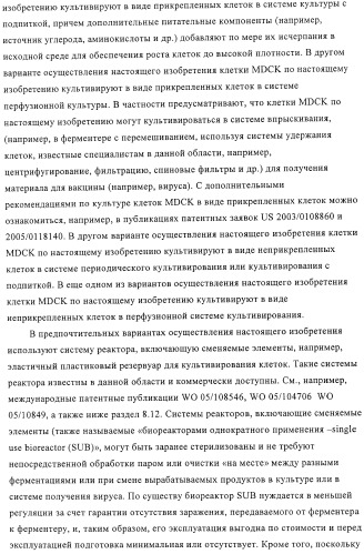 Линии клеток почки собаки майдин-дэрби (mdck), поддерживающие рост вирусов до высоких титров, и способ применения этих клеток в биореакторе (патент 2487935)