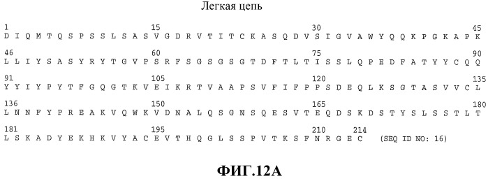 Терапия злокачественной опухоли, резистентной к препаратам на основе платины (патент 2403065)