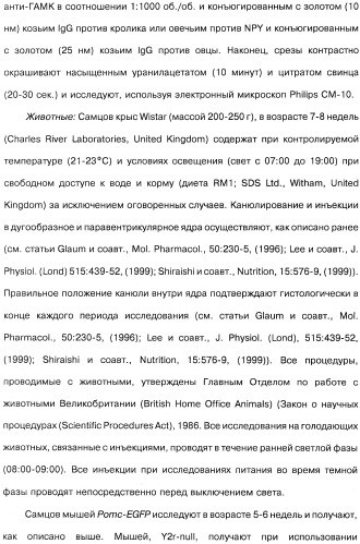 Способ модификации пищевого поведения и применение pyy или его агониста в качестве средства для модификации пищевого поведения (патент 2317104)