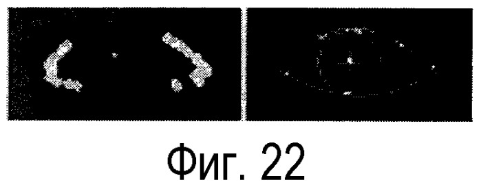 Способ и устройство для фотореалистического трехмерного моделирования лица на основе изображения (патент 2358319)