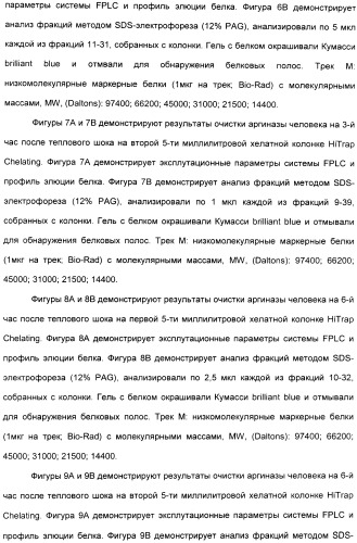 Фармацевтический препарат и способ лечения злокачественных опухолей у человека с помощью аргининовой депривации (патент 2335539)