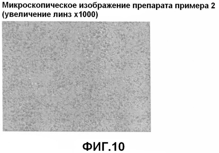 Препарат в форме пленки и способ его получения (патент 2572702)