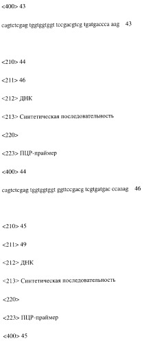 Модифицированное агонистическое антитело (патент 2295537)