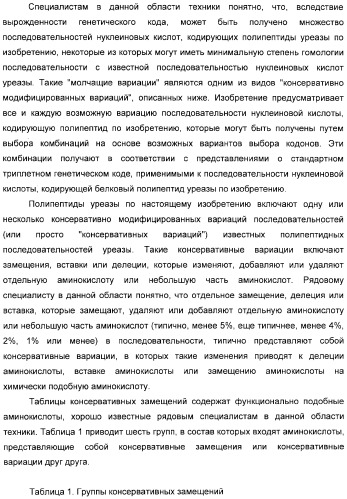 Использование уреазы для ингибирования роста раковых клеток (патент 2326691)