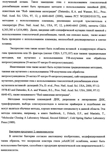 Способ получения l-треонина и l-аргинина с использованием бактерии, принадлежащей к роду escherichia, в которой инактивирован кластер генов yehabcde (патент 2337960)