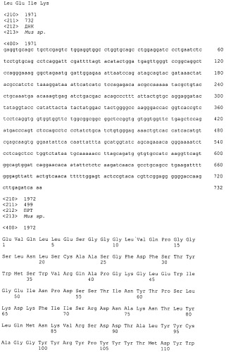 Pscaxcd3, cd19xcd3, c-metxcd3, эндосиалинxcd3, epcamxcd3, igf-1rxcd3 или fap-альфаxcd3 биспецифическое одноцепочечное антитело с межвидовой специфичностью (патент 2547600)