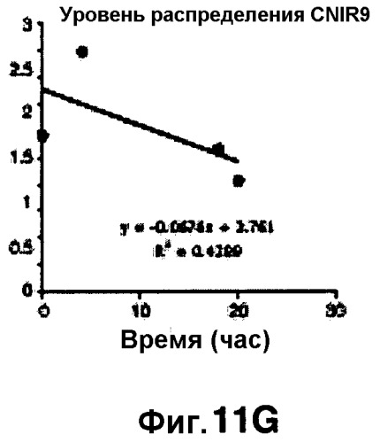 Применение бактериальной бета-лактамазы для диагностики in vitro и визуализации, диагностики и лечения in vivo (патент 2520661)