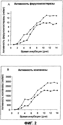 Слитые белки, включающие ферменты, разрушающие клеточную оболочку растений, и их применения (патент 2433140)