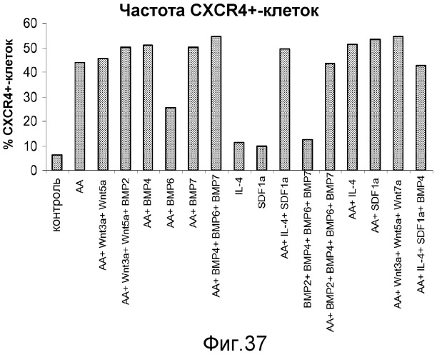 Дифференцировка человеческих эмбриональных стволовых клеток (патент 2473685)