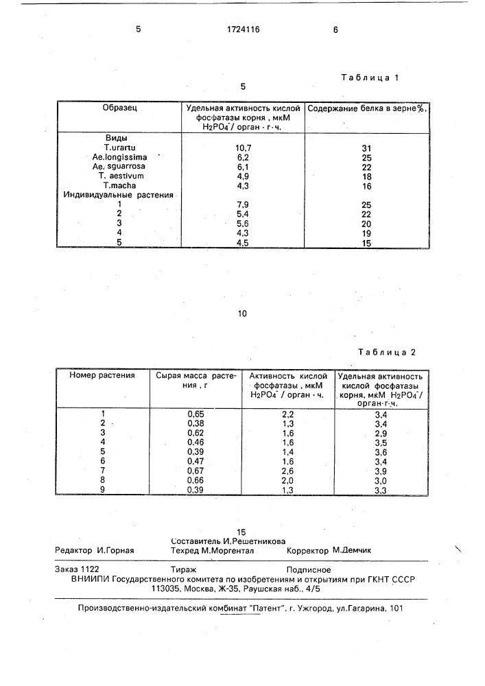 Способ оценки белковости зерна пшеницы (патент 1724116)