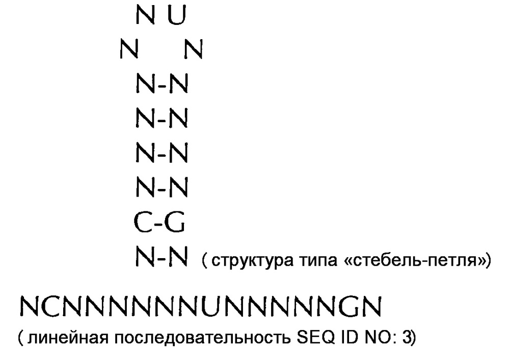 Нуклеиновая кислота, содержащая или кодирующая гистоновую структуру типа"стебель-петля" и поли(а)-последовательность или сигнал полиаденилирования, для увеличения экспрессии кодируемого опухолевого антигена (патент 2650795)