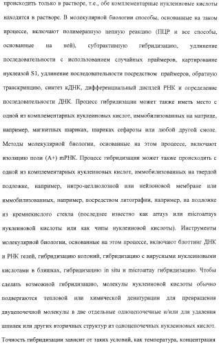 Растения с повышенной урожайностью и способ их получения (патент 2377306)