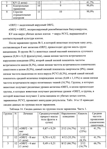 Поливалентные иммуногенные композиции pcv2 и способы получения таких композиций (патент 2488407)