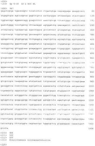 Pscaxcd3, cd19xcd3, c-metxcd3, эндосиалинxcd3, epcamxcd3, igf-1rxcd3 или fap-альфаxcd3 биспецифическое одноцепочечное антитело с межвидовой специфичностью (патент 2547600)