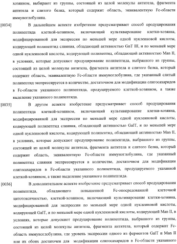 Конструкции слияния и их применение для получения антител с повышенными аффинностью связывания fc-рецептора и эффекторной функцией (патент 2407796)