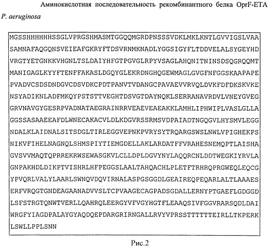 Рекомбинантная плазмидная днк ppa-oprf-eta, кодирующая синтез рекомбинантного белка oprf-eta pseudomonas aeruginosa, штамм escherichia coli pa-oprf-eta - продуцент рекомбинантного белка oprf-eta pseudomonas aeruginosa и способ получения рекомбинантного белка oprf-eta pseudomonas aeruginosa (патент 2529359)