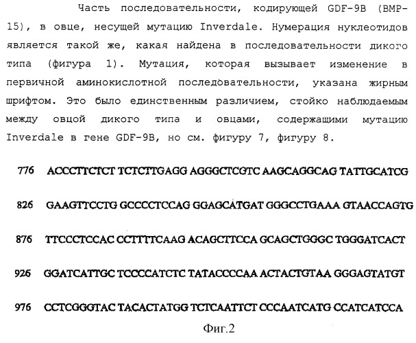 Нуклеотидные и аминокислотные последовательности факторов яйцеклеток для изменения роста яичниковых фолликулов in vivo или in vitro (патент 2270862)