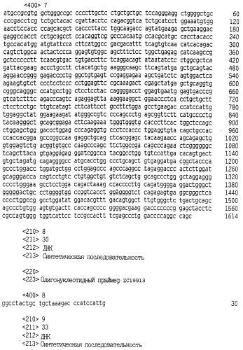 Выделенный полипептид, связывающий рецептор zalpha11-лиганда (варианты), кодирующий его полинуклеотид (варианты), вектор экспрессии (варианты) и клетка-хозяин (варианты) (патент 2346951)