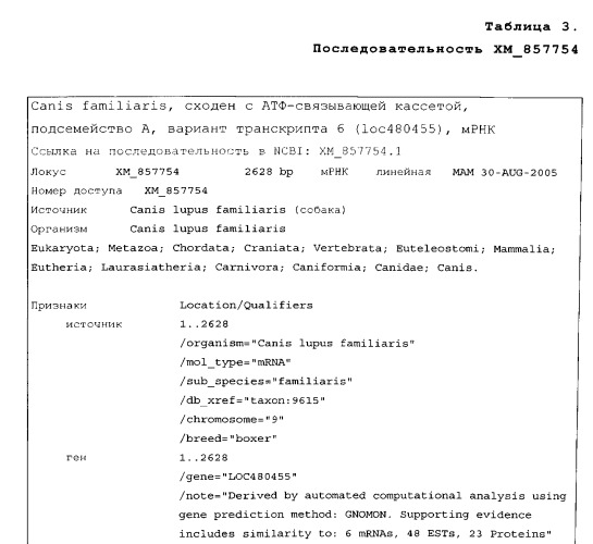 Способы и композиции для диагностики остеоартрита у животного семейства кошачьих (патент 2504586)