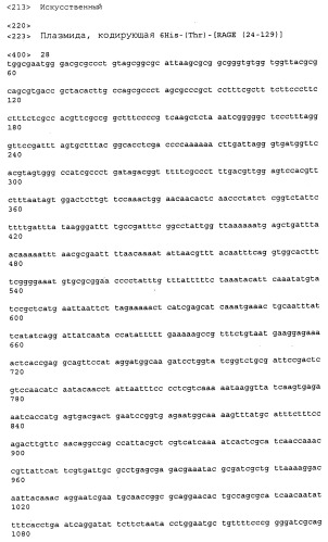 Антитела к рецептору конечных продуктов глубокого гликирования (rage) и их применения (патент 2518351)