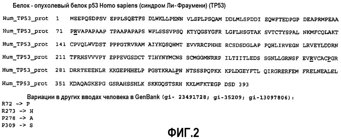 Олигорибонуклеотиды и способы их применения для лечения острой почечной недостаточности и других заболеваний (патент 2434942)