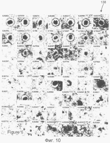 Идентификация и классификация вирусных частиц на текстурированных электронных микрофотографиях (патент 2409855)