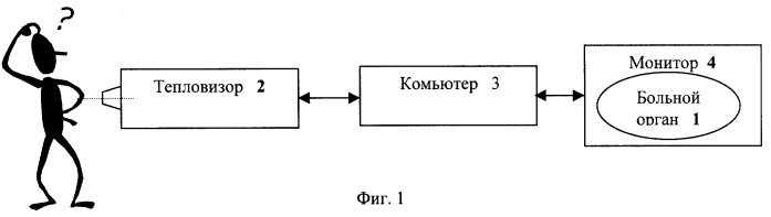 Способ исследования внутренних органов и тканей человека (патент 2256397)