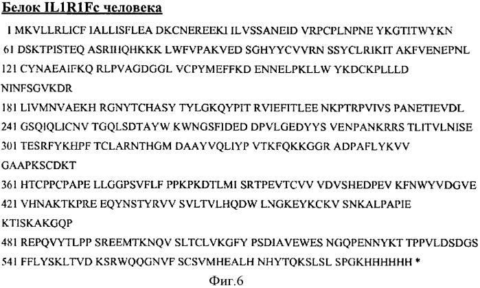 Члены связывания против il-1r1 (патент 2555532)