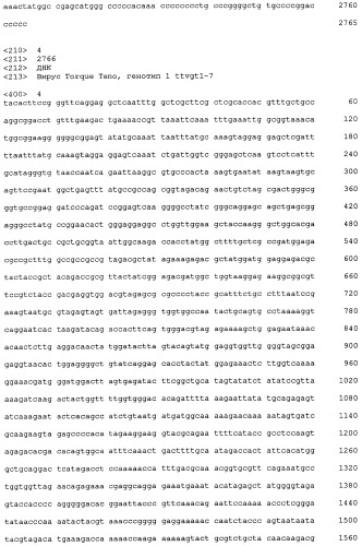 Выделенная полинуклеотидная молекула, кодирующая вирус torque teno, молекула рнк и вектор экспрессии (патент 2502801)