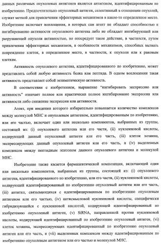 Идентификация опухолевых антигенов для диагностики и терапии (патент 2485974)