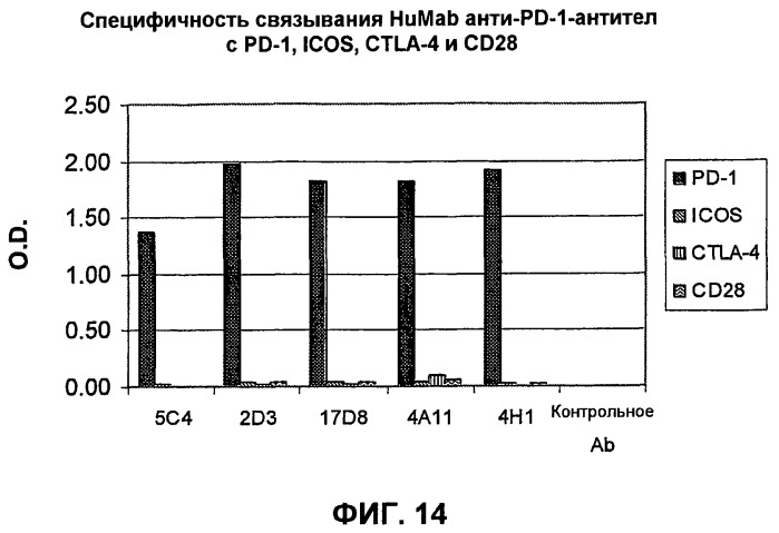 Моноклональные антитела человека к белку программируемой смерти 1 (pd-1) и способы лечения рака с использованием анти-pd-1-антител самостоятельно или в комбинации с другими иммунотерапевтическими средствами (патент 2494107)