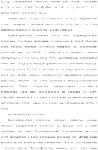 Антитела против вируса гепатита с (патент 2462475)