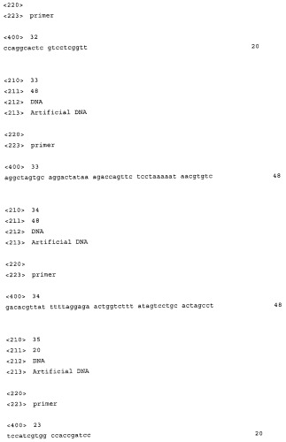 Использование фосфокетолазы для продукции полезных метаболитов (патент 2322496)