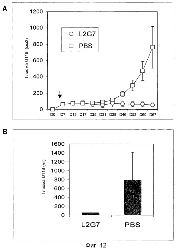Моноклональные антитела к фактору роста гепатоцитов (патент 2361879)