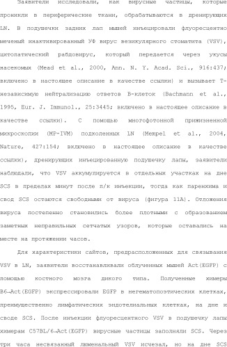 Нацеливание на антигенпрезентирующие клетки иммунонанотерапевтических средств (патент 2497542)