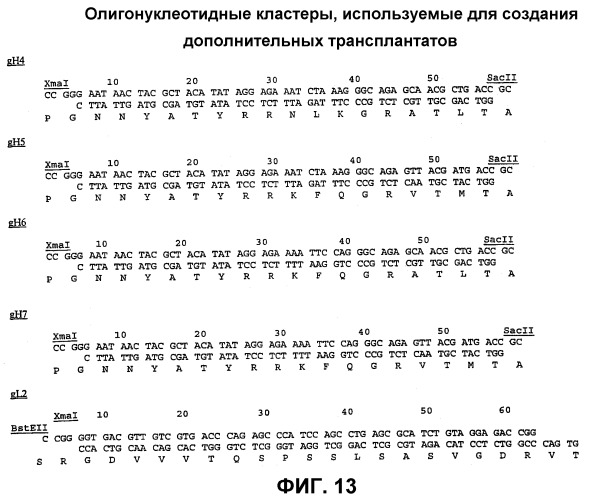 Конъюгаты &quot;производное калихеамицина-носитель&quot; (патент 2422157)