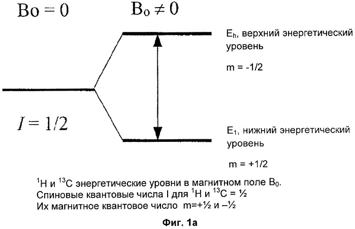 Способ и устройство для непрерывной точной ядерной магнитно-резонансной спектроскопии / магнитно-резонансной томографии, основанной на принципах квантовой теории (патент 2531140)