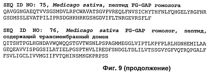 Растения, имеющие улучшенные характеристики роста, и способы их получения (патент 2463352)